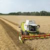 Mietitrebbia Claas LEXION 670-620, Darin Srl